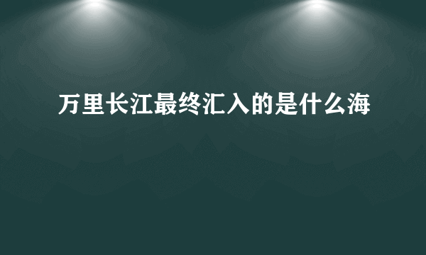 万里长江最终汇入的是什么海