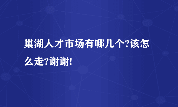 巢湖人才市场有哪几个?该怎么走?谢谢!