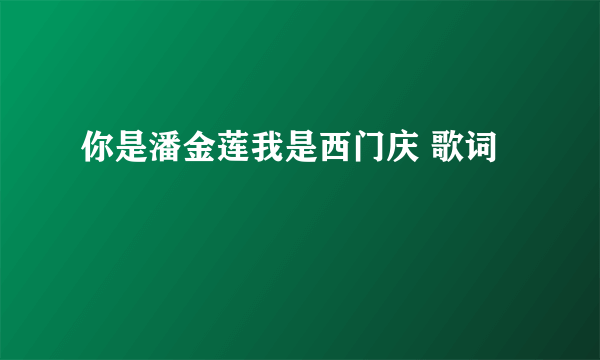 你是潘金莲我是西门庆 歌词