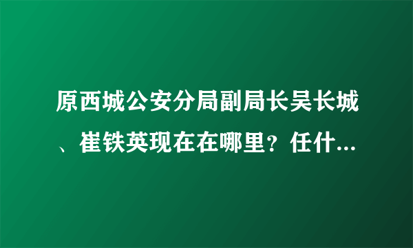 原西城公安分局副局长吴长城、崔铁英现在在哪里？任什么职务？