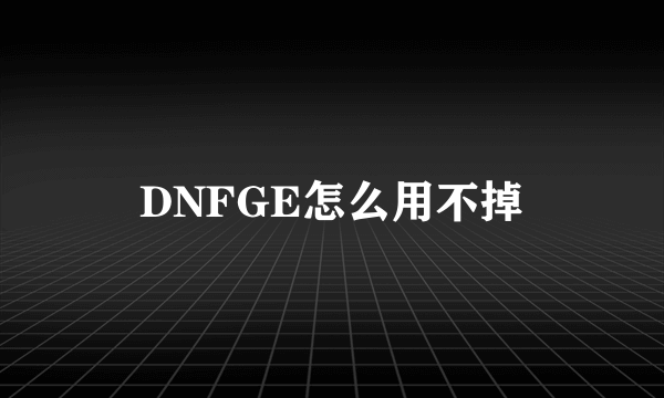 DNFGE怎么用不掉