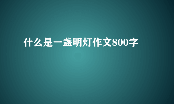 什么是一盏明灯作文800字