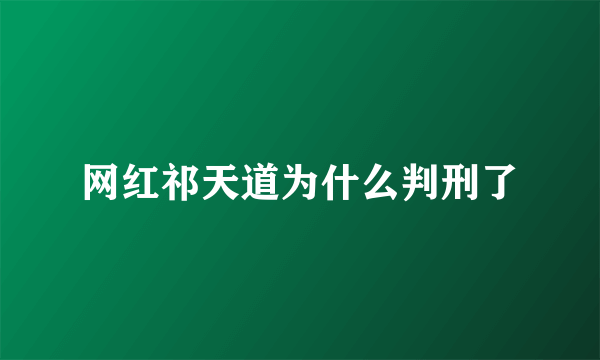 网红祁天道为什么判刑了