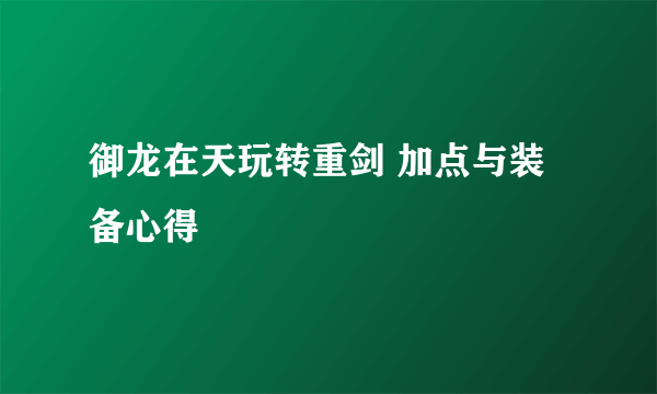 御龙在天玩转重剑 加点与装备心得