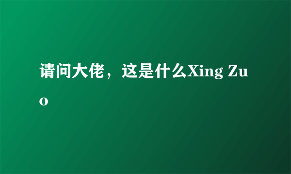 请问大佬，这是什么Xing Zuo