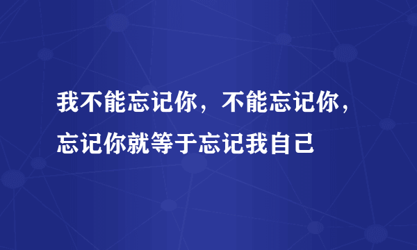 我不能忘记你，不能忘记你，忘记你就等于忘记我自己