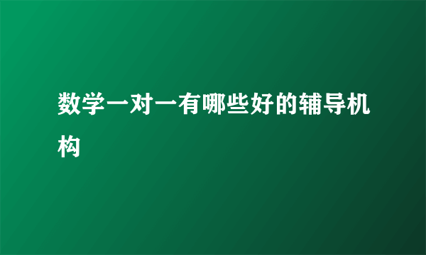 数学一对一有哪些好的辅导机构