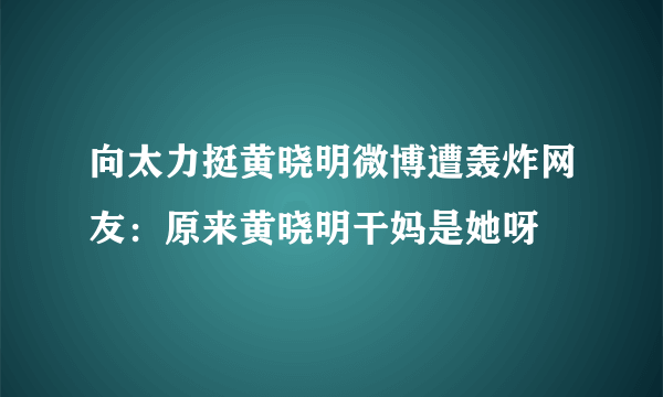 向太力挺黄晓明微博遭轰炸网友：原来黄晓明干妈是她呀