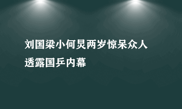 刘国梁小何炅两岁惊呆众人 透露国乒内幕