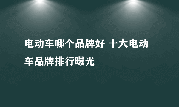 电动车哪个品牌好 十大电动车品牌排行曝光