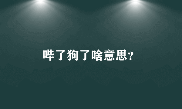 哔了狗了啥意思？