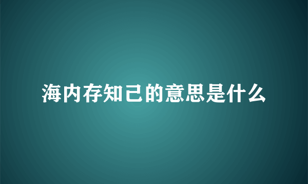 海内存知己的意思是什么