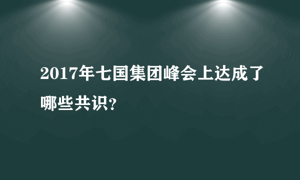 2017年七国集团峰会上达成了哪些共识？