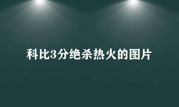 科比3分绝杀热火的图片