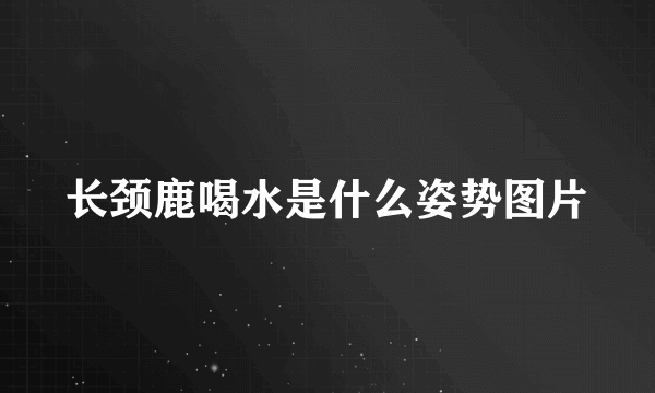 长颈鹿喝水是什么姿势图片