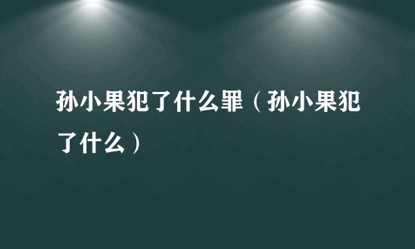 孙小果犯了什么罪（孙小果犯了什么）