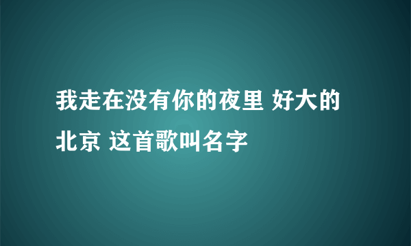 我走在没有你的夜里 好大的北京 这首歌叫名字