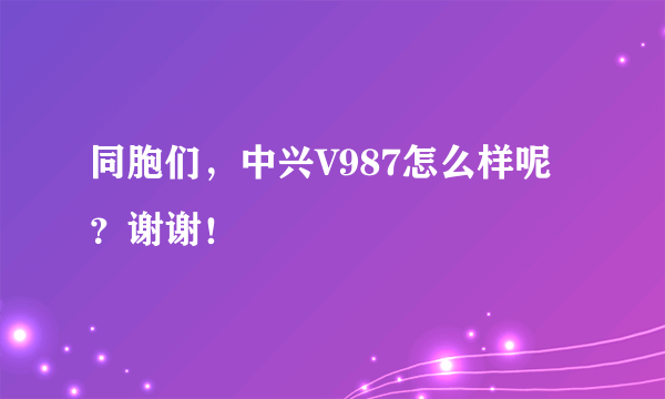 同胞们，中兴V987怎么样呢？谢谢！