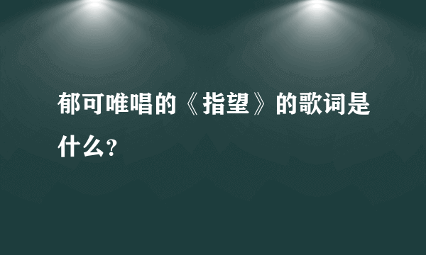 郁可唯唱的《指望》的歌词是什么？