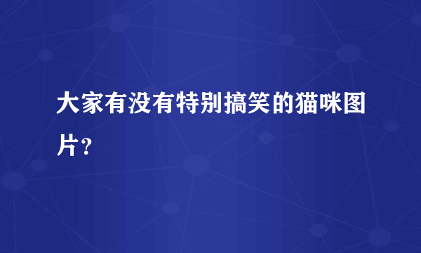 大家有没有特别搞笑的猫咪图片？