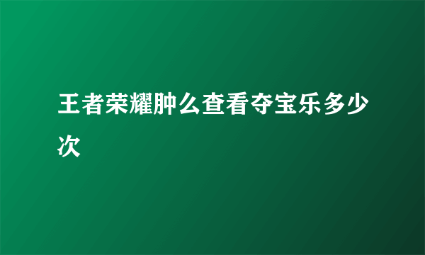 王者荣耀肿么查看夺宝乐多少次