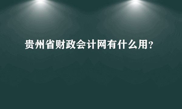 贵州省财政会计网有什么用？