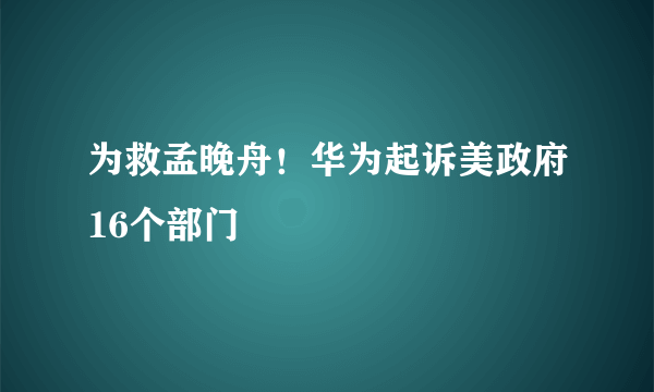 为救孟晚舟！华为起诉美政府16个部门