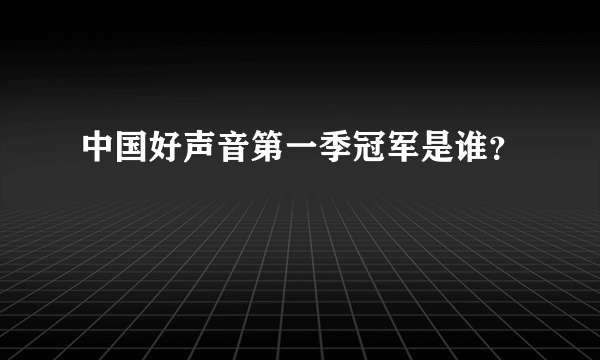 中国好声音第一季冠军是谁？