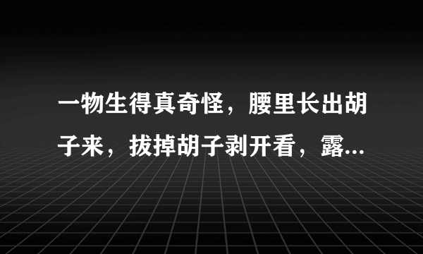 一物生得真奇怪，腰里长出胡子来，拔掉胡子剥开看，露出牙齿一排排(打一植物)