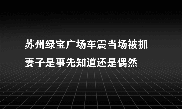 苏州绿宝广场车震当场被抓 妻子是事先知道还是偶然