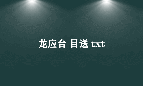 龙应台 目送 txt