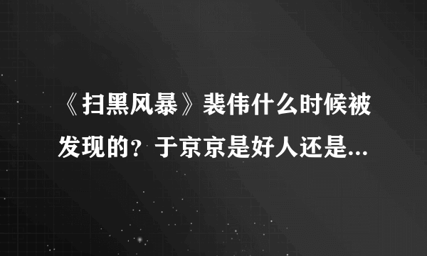 《扫黑风暴》裴伟什么时候被发现的？于京京是好人还是坏人吗？- 飞外网