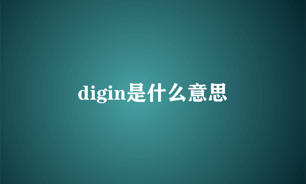 digin是什么意思