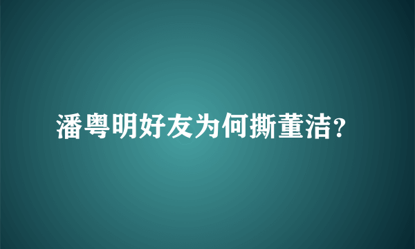 潘粤明好友为何撕董洁？