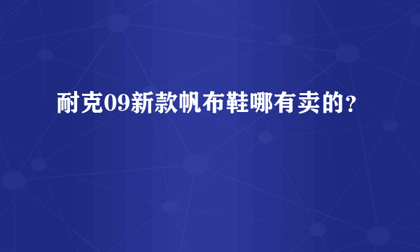 耐克09新款帆布鞋哪有卖的？