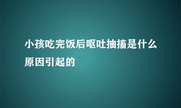 小孩吃完饭后呕吐抽搐是什么原因引起的