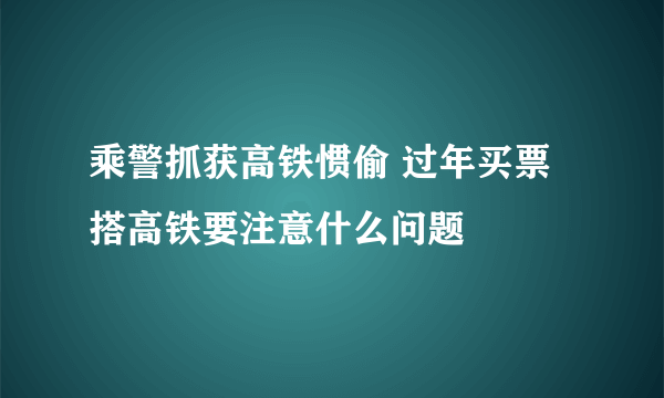 乘警抓获高铁惯偷 过年买票搭高铁要注意什么问题