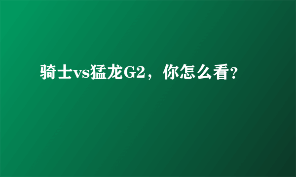 骑士vs猛龙G2，你怎么看？