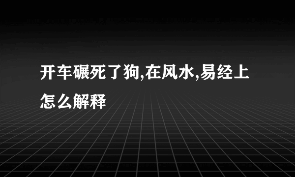 开车碾死了狗,在风水,易经上怎么解释