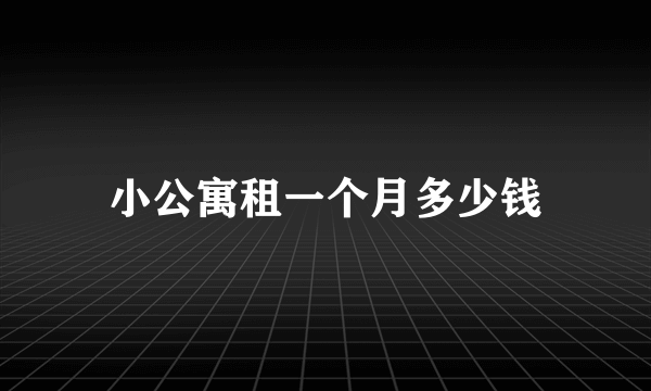 小公寓租一个月多少钱