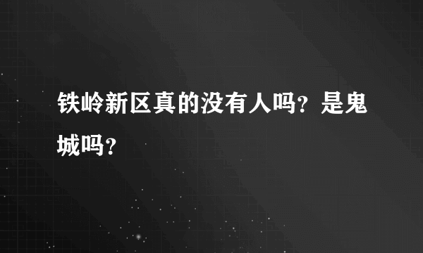 铁岭新区真的没有人吗？是鬼城吗？