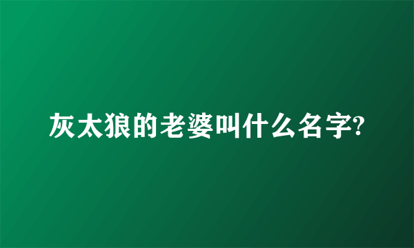 灰太狼的老婆叫什么名字?