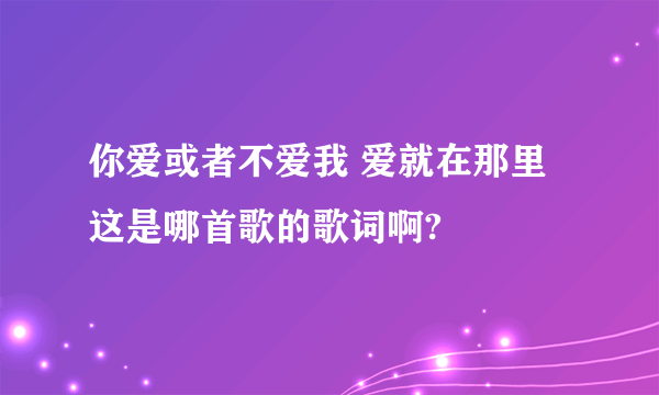 你爱或者不爱我 爱就在那里 这是哪首歌的歌词啊?