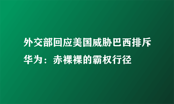 外交部回应美国威胁巴西排斥华为：赤裸裸的霸权行径