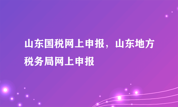 山东国税网上申报，山东地方税务局网上申报