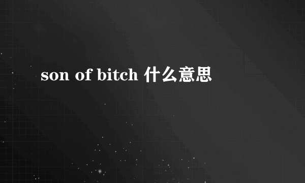 son of bitch 什么意思