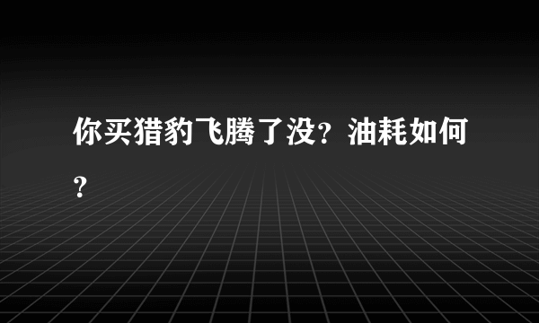 你买猎豹飞腾了没？油耗如何？