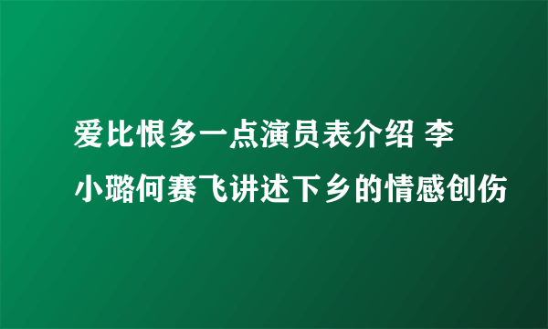 爱比恨多一点演员表介绍 李小璐何赛飞讲述下乡的情感创伤