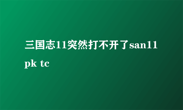 三国志11突然打不开了san11pk tc