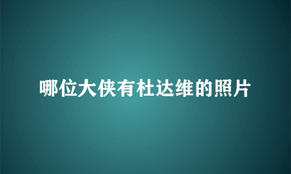 哪位大侠有杜达维的照片